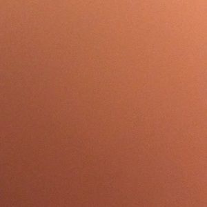 Meet your Posher, Kira